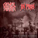 Chemical Disaster / In Pain - Pain of Chemical Sufferings - Split