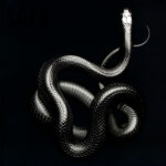Soen – Imperial - Slipcase